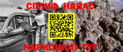 гашик Моздок