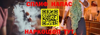 гашик Моздок