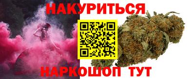 гашик Моздок