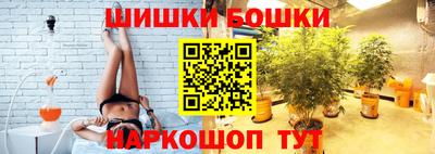 гашик Моздок