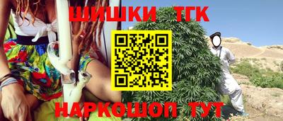 гашик Моздок