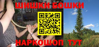 гашик Моздок