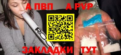 гашик Моздок
