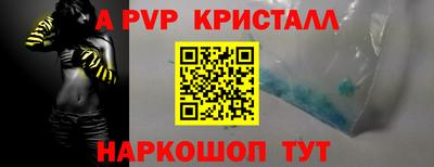 гашик Моздок