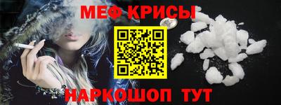 гашик Моздок