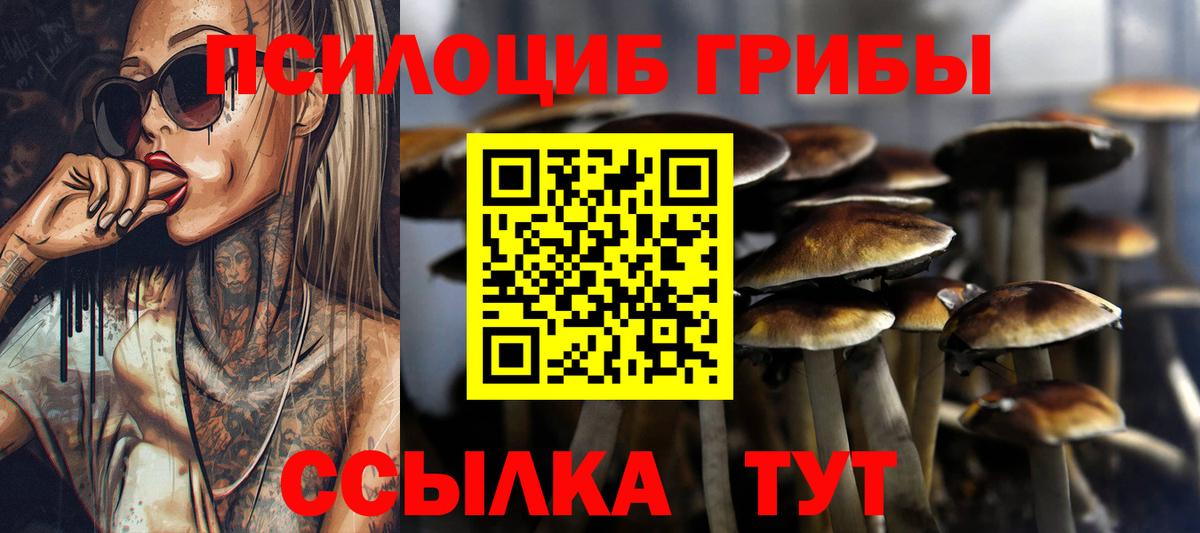 Галлюциногенные грибы Psilocybine cubensis  цена   Узловая  Галлюциногенные грибы Psilocybine cubensis  Вход с VPN 